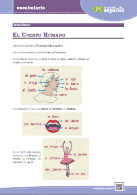 'Cuerpo humano - América'